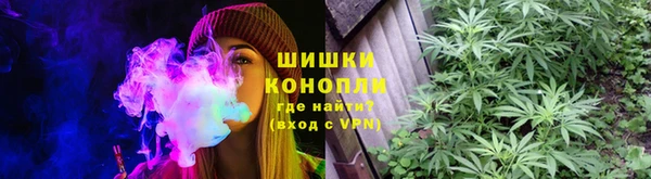 стаф Вязьма