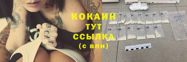 стаф Вязьма