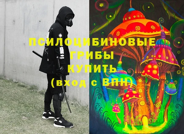 стаф Вязьма