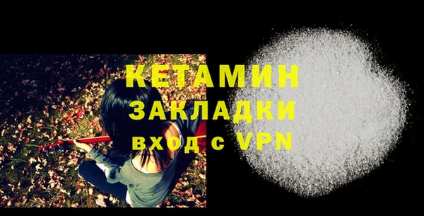 стаф Вязьма