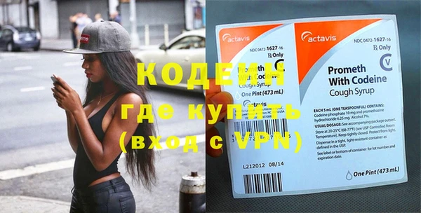 стаф Вязьма