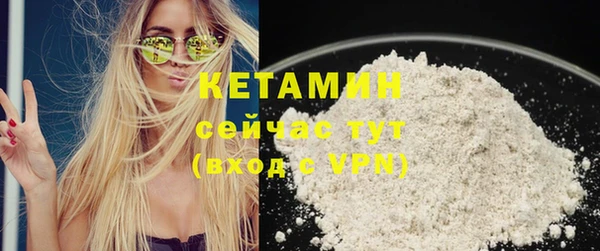 стаф Вязьма