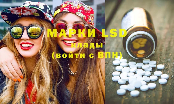 стаф Вязьма