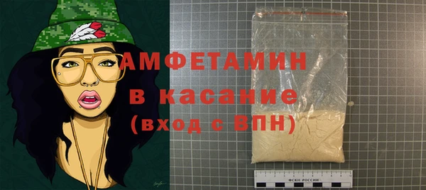 стаф Вязьма
