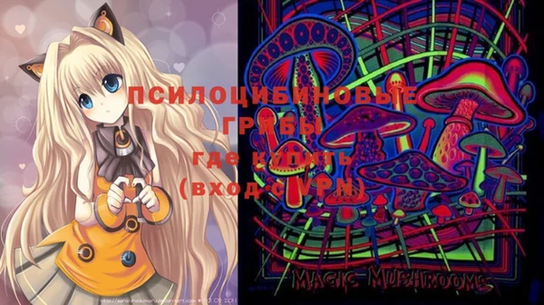 молекула духа Володарск