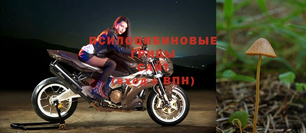 дживик Волоколамск