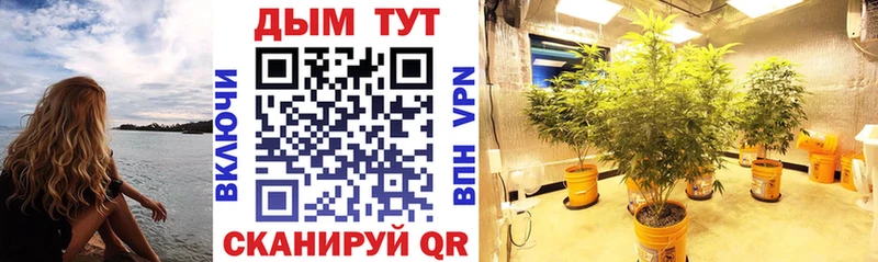 наркошоп  Новое Девяткино  Канабис White Widow 